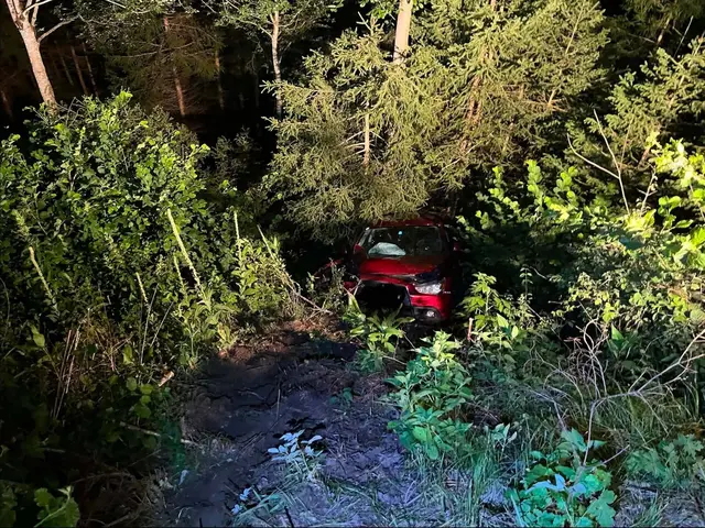 Der junge Autofahrer sowie seine gleichaltrige Beifahrerin sollen bei dem Unfall verletzt worden sein.  | Foto: Freiwillige Feuerwehr Diex