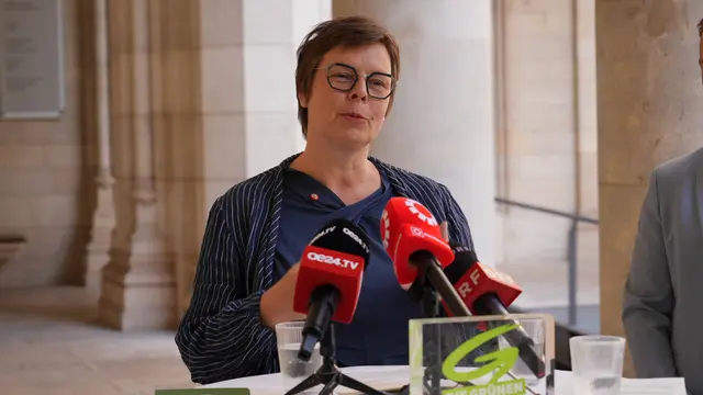 Barbara Huemer (Grüne) | Foto: Andreas Pölzl/MeinBezirk