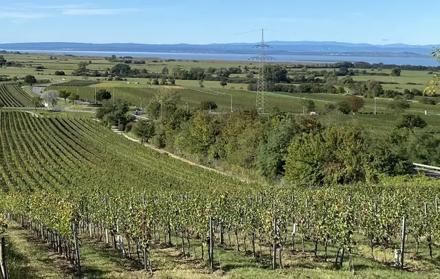 Gols baut seine Rolle als Gesundheitsstandort im nördlichen Burgenland konsequent aus. | Foto: Nikolaus Gracher