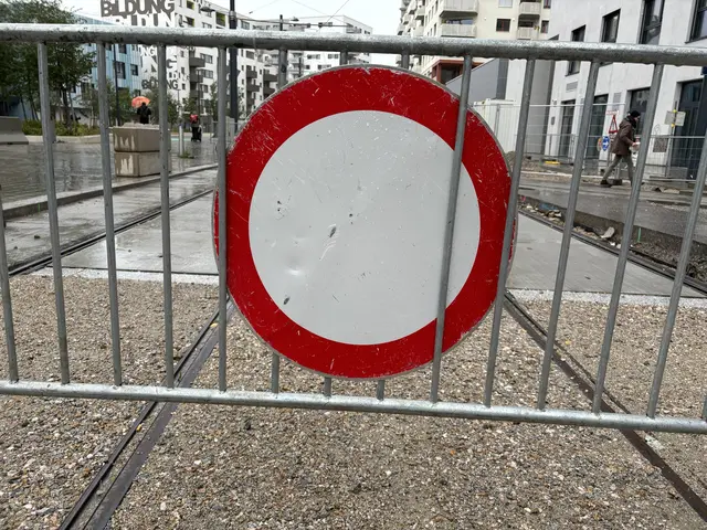 Am Dienstagvormittag sind sowohl die Straßenbahnlinie 30 als auch die Brünner Straße für den Verkehr selbst blockert. (Symbolfoto) | Foto: Johannes Reiterits/MeinBezirk