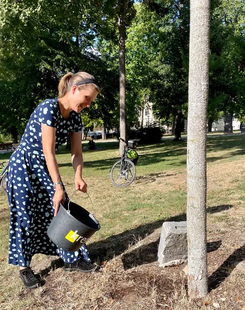 Baumpatin Irene Seilnberger gießt im Stadtpark ihren gespendeten Klimabaum. | Foto: Walter Gangl