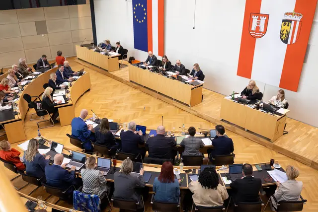 Von September 2025 bis Juli 2026 wurden insgesamt 302 Anträge im Linzer Gemeinderat behandelt. | Foto: Stadt Linz