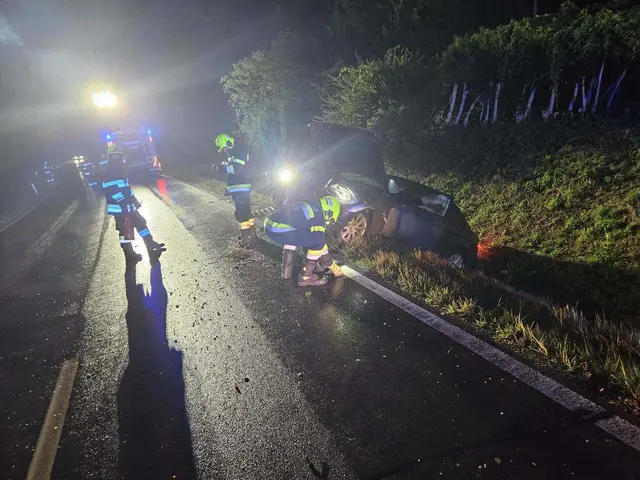 Die Einsatzkräfte der FF Krems banden auslaufende Betriebsmittel und reinigten die Straße. | Foto: FF Krems