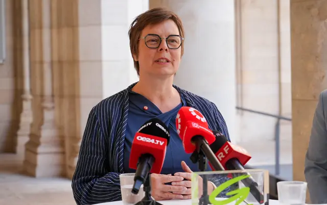 Barbara Huemer (Grüne) | Foto: Andreas Pölzl/MeinBezirk