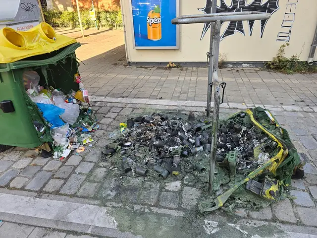 Mehrere Mülltonnen am St.-Elisabeth-Platz wurden dem Erdboden gleich gemacht. | Foto: Lukas Ipirotis/MeinBezirk