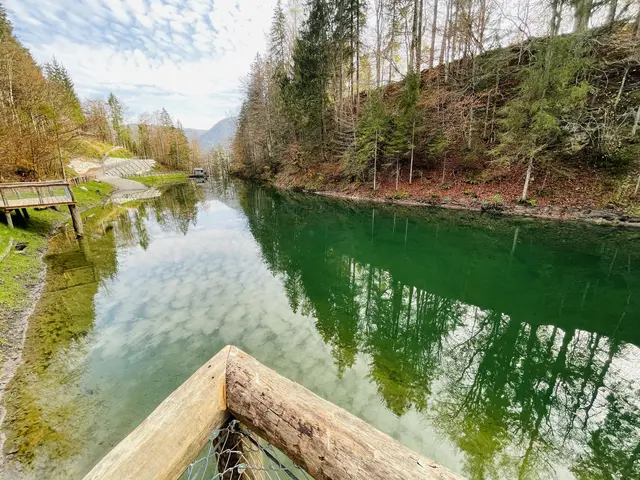 Stausee revitalisiert. | Foto: Klaus Kogler