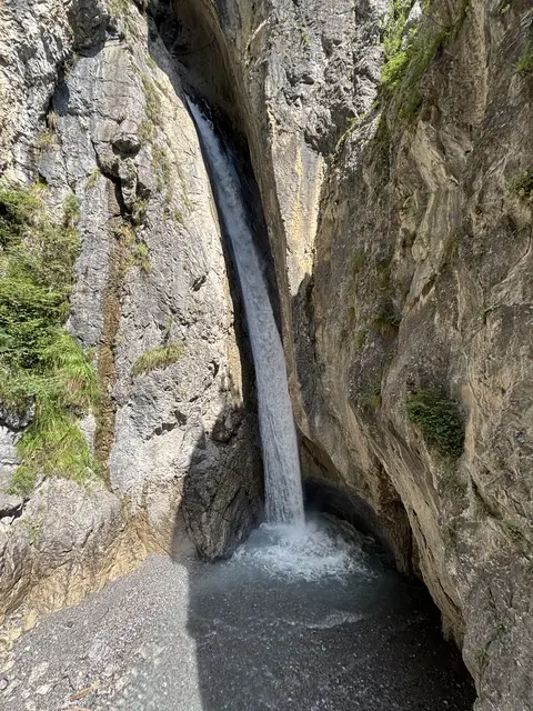 Foto: Forgo