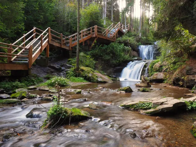 Die Graggerschlucht ist ein beliebtes Ausflugsziel. Nun musste dorthin aber die Feuerwehr ausrücken.
