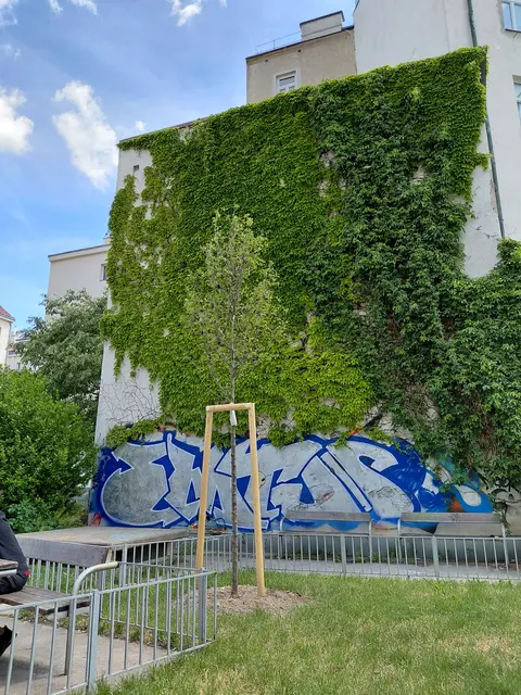 Im Manes-Sperber-Park wurde ein neuer Baum gepflanzt.  | Foto: BV 2
