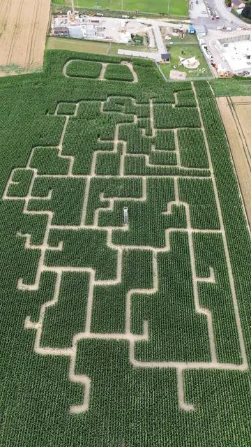Das Maislabyrinth in Ried in der Riedmark aus der Vogelperspektive. | Foto: Pfeiffer