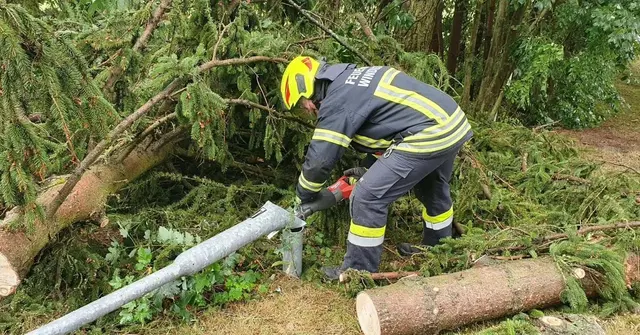 Beseitung der Folgen des Unwetters | Foto: FF Windigsteig