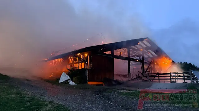 Bei dem Brand sollen zwei Schweine verendet sein. Weitere Tiere seien laut Feuerwehr nicht im Stall gewesen. | Foto: Feuerwehr Greifenburg