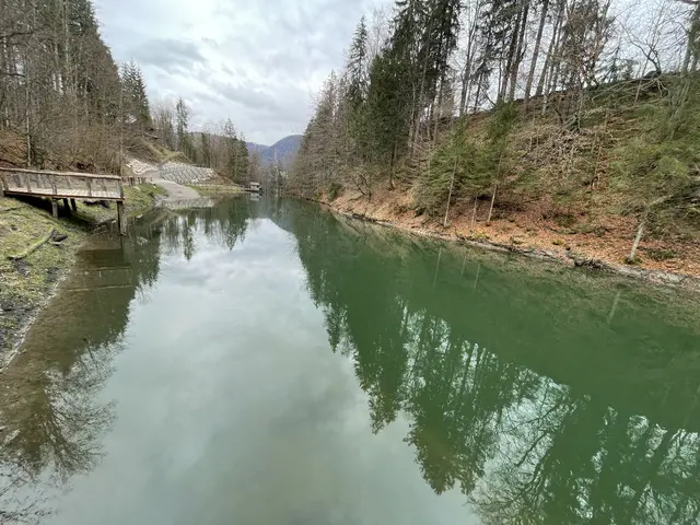Foto: Klaus Kogler
