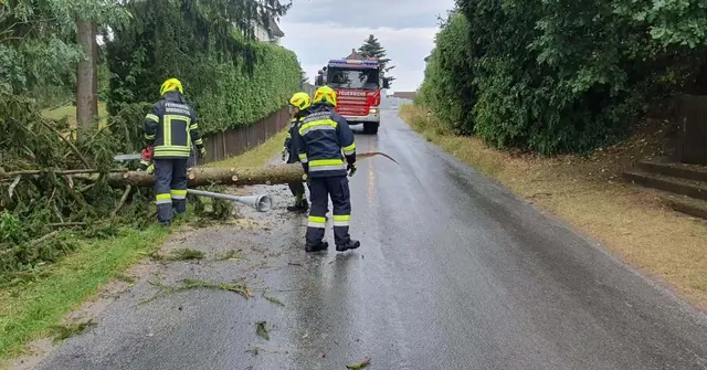 Umgestürzte Bäume blockierten die Straßen um Windigsteig. | Foto: FF Windigsteig