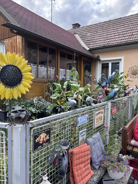 Foto: Alexandra Goll