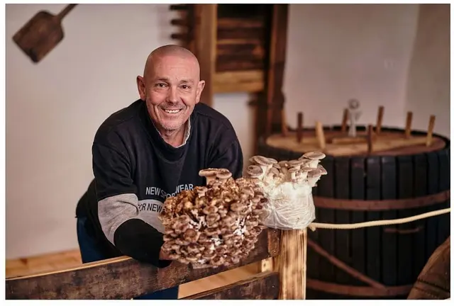 Martin Schmit mit seinen Pilzblöcken in der Absberger Kellergasse in Absdorf. | Foto: Florian Schulte