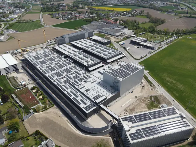 Die neue Produktionshalle ist 16.000 Quadratmeter groß – mehr als zwei Fußballfelder. | Foto: Arge Baumeister Waizenauer/Lexrer &amp; Graf/Felbermayr