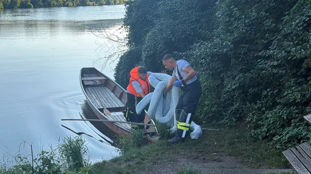 Alarmstufe S2 in Krummnußbaum: Feuerwehrkräfte verhinderten eine weitere Ausbreitung eines bisher unbekannten Stoffes. | Foto: DOKU-NÖ