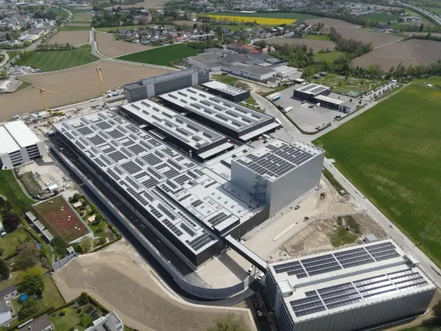 Die neue Produktionshalle ist 16.000 Quadratmeter groß – mehr als zwei Fußballfelder. | Foto: Arge Baumeister Waizenauer/Lexrer &amp; Graf/Felbermayr