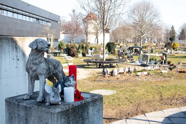 Der Tierfriedhof Wien in Simmering soll um 2.300 Quadratmeter vergrößert werden.  | Foto: Tierfriedhof Wien