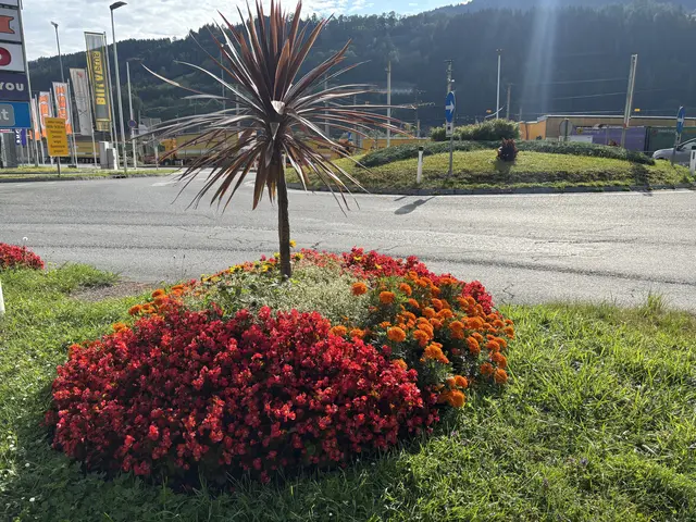 Blumenpracht beim Kreisverkehr in Bischofshofen. | Foto: Christian Amtmann