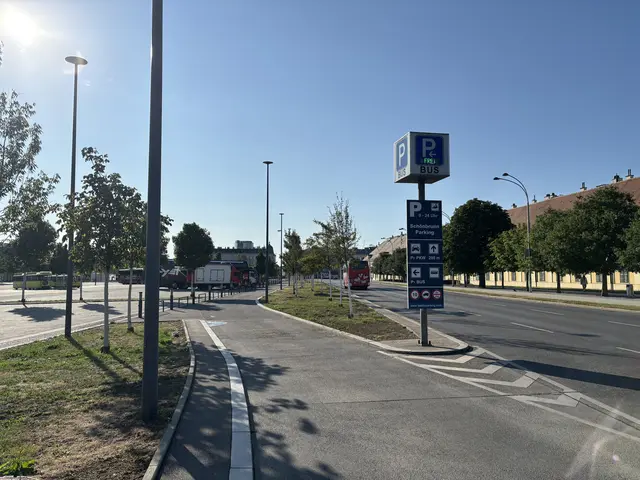 Rund 300 Jungbäume sollen den Parkplatz vor Schloss Schönbrunn begrünen. Viele von ihnen zeigen jedoch deutliche Schäden durch Trockenheit und Hitze.
 | Foto: Matthias Pandrea/MeinBezirk