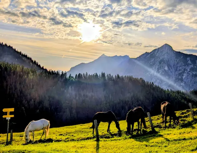  Postkartenidylle: Pferde sonnen sich bei Wolkenstimmung auf der Postalm. | Foto: Gruber
