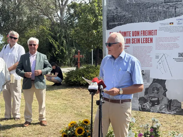 Der Ruster Ortschronist Wolfgang Bachkönig unterstützte die Umsetzung der Gedenktafel. | Foto: Dorottya Fejes/MeinBezirk