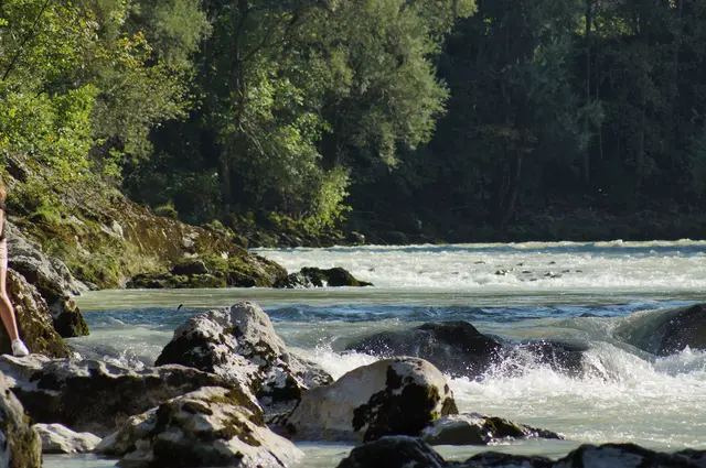 Die österreichischen Flüsse müssen als Lebensraum und Wasserspeicher geschützt werden, fordert der WWF. | Foto: Guido Kruetschnigg