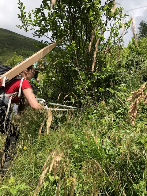 Schnittarbeiten beim Wanderweg zum Mühlbachsee. | Foto: Klara Rauchlatner