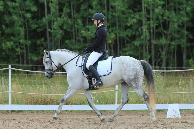 An drei Tagen treffen sich Dressurbegeisterte in Hartberg zum alljährlichen Hartberger Reitturnier. | Foto: unsplash / Elisa Pitkänen