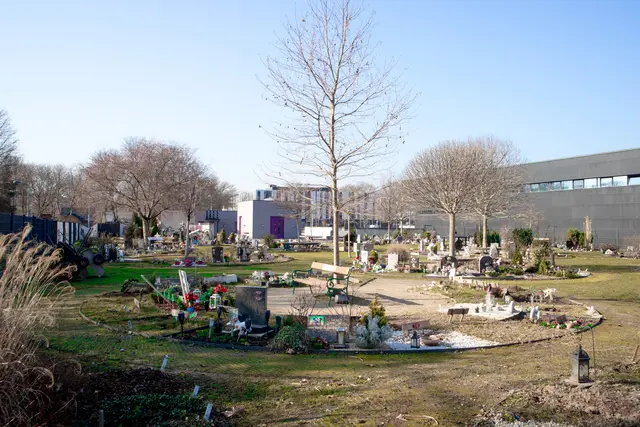 Die zusätzliche Fläche soll hinter dem bestehenden Gebäude der Bestattung Wien (r.) entstehen.  | Foto: Tierfriedhof Wien