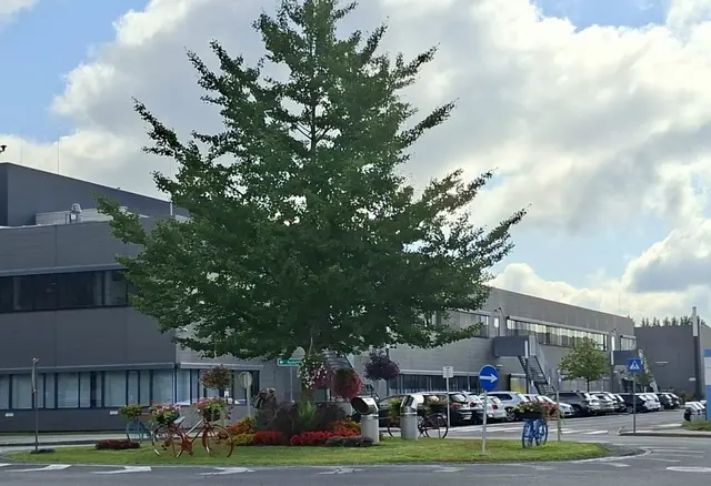 Foto: Kurt Nöhmer