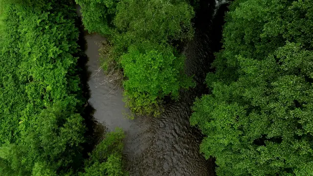 Der Film zeigt die Landschaft des Sulmtals eindrucksvoll.