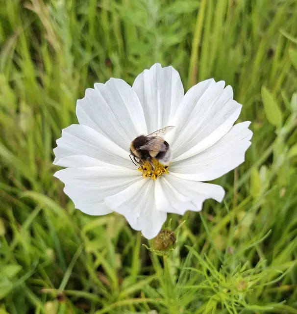 Foto: Kurt Nöhmer