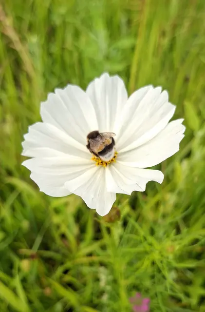 Foto: Kurt Nöhmer