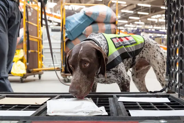 Der österreichische Zoll hat 2025 deutlich mehr gefährliche oder nicht EU-konforme Produkte aus dem Verkehr gezogen als der europäische Durchschnitt. | Foto: BMF/Zoll