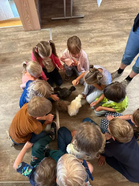 Kinder der Volksschule Rottenbach entdeckten bei der Veranstaltungsreihe „G‘sund leben mit Essen von hier“ regionale Lebensmittel. | Foto: Alois Stadlmayr/Gemeinde Rottenbach