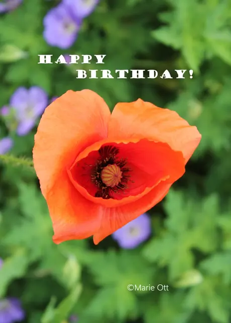 Alles Gute zum Geburtstag, HAPPY BIRTHDAY