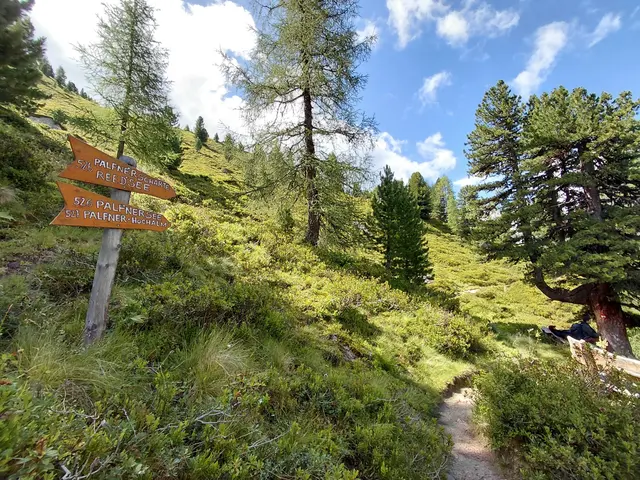 Abzweigung zum Palfner See  | Foto: H.Bachinger
