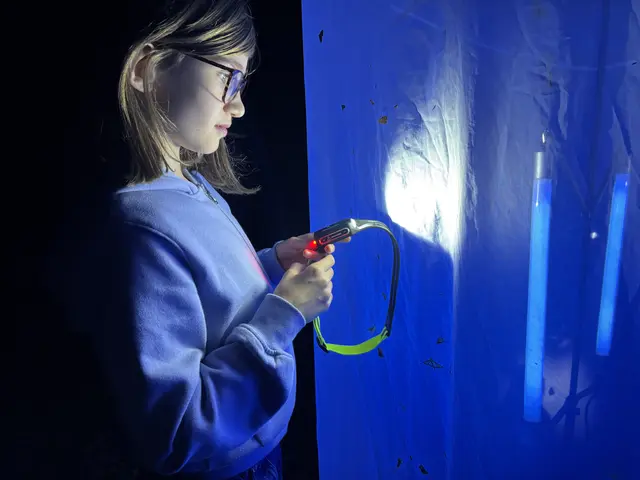 Mit der Stirnlampe auf Schmetterlingssuche. | Foto: MeinBezirk/Gerda Sammer-Schmidt