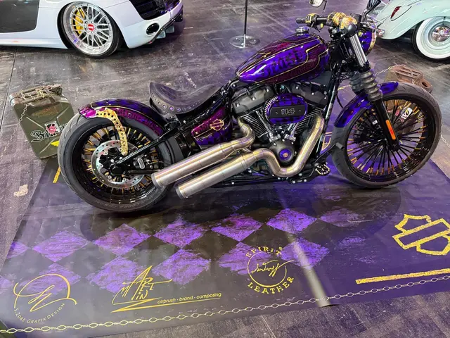 Wer dem Künstler bei der Arbeit über die Schulter schauen möchte kann das im Rahmen der European Bike Week, bei Motodrom Harley Davidson in Klagenfurt, machen. | Foto: Privat