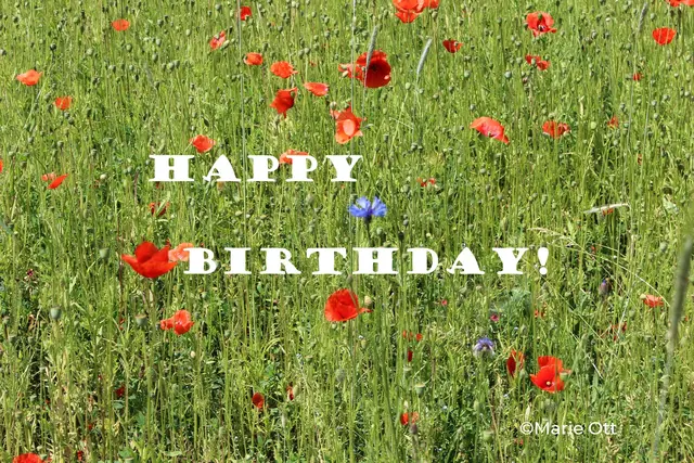 Herzliche Glückwünsche zum Geburtstag!