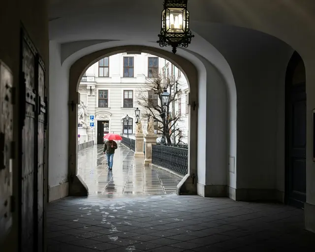 Symbolfoto | Foto: Carrie Borden/Unsplash