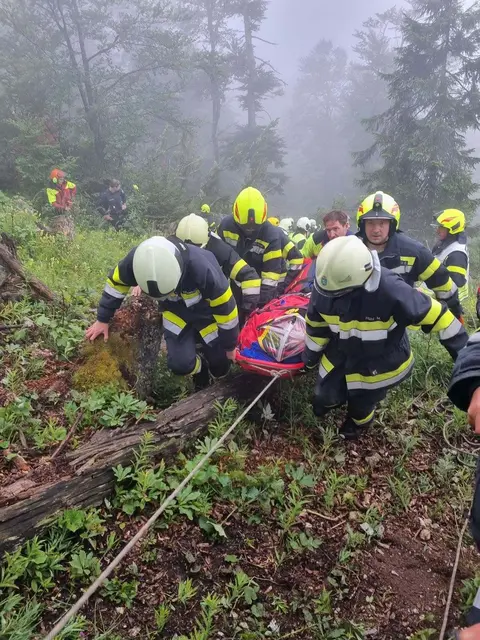 In Zusammenarbeit mit mehreren Einsatzorganisationen konnte der Verletzte aus dem steilen Gelände befreit werden. | Foto: FF Bad Mitterndorf