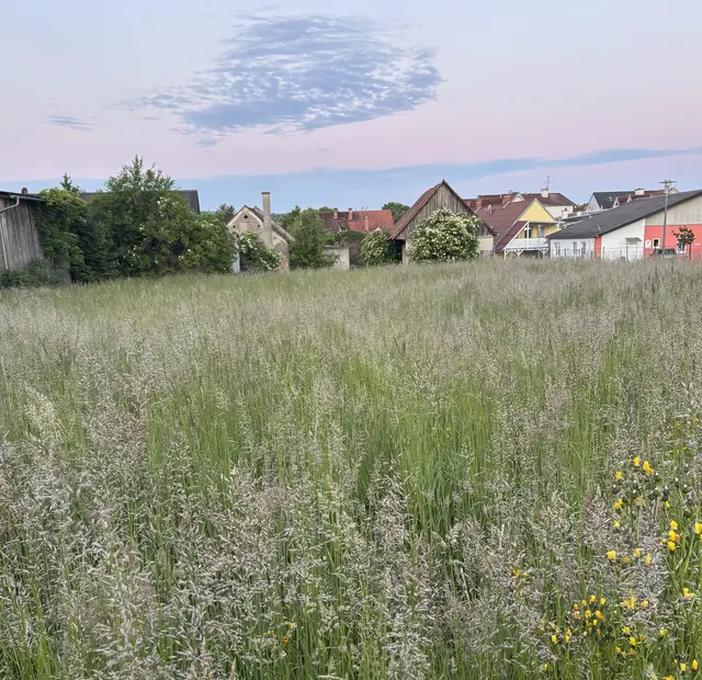 Nach zwölf Jahren in Wien zog es die gebürtige Gleisdorferin, Ann-Marie Stark, in der ersten Schwangerschaft wieder zurück in die Heimat.  | Foto: Ann-Marie Stark