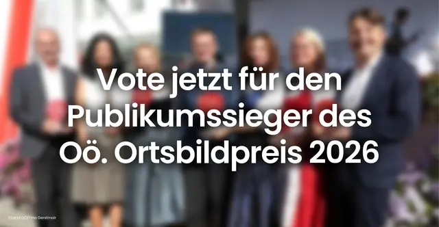Stimme vom 31. Juli bis 24. August für deinen Favoriten und entscheide, wer den Publikumspreis gewinnt.