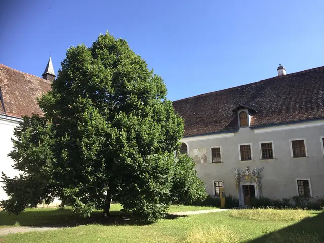 Auch über die Linde im Prälatengarten wurde einiges erzählt.  | Foto: Michaela Hörl