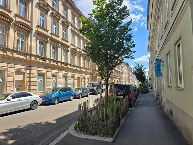 Die Bäume sollen die bereits bestehenden Bäume in der Schulgasse ergänzen.  | Foto: Ipirotis/MeinBezirk