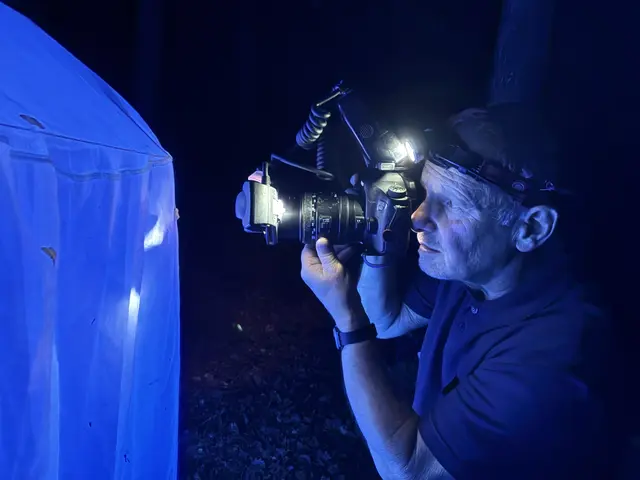 Schmetterlingskundler Leo Kuzmits dokumentiert die Falter- und Insektenvielfalt. | Foto: MeinBezirk/Gerda Sammer-Schmidt